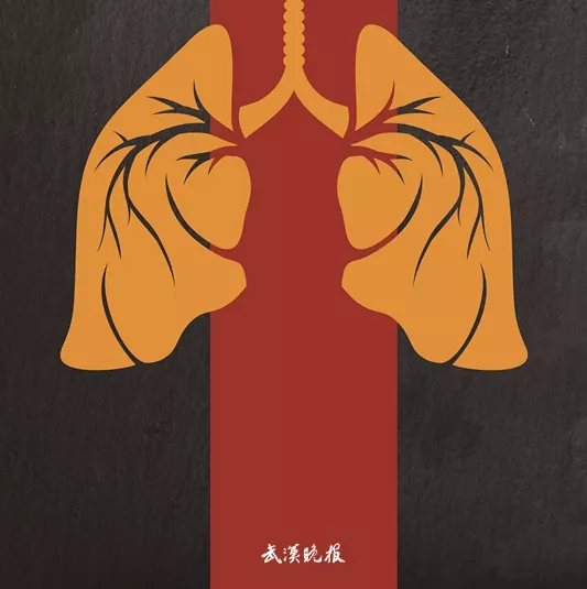 lungs illustration