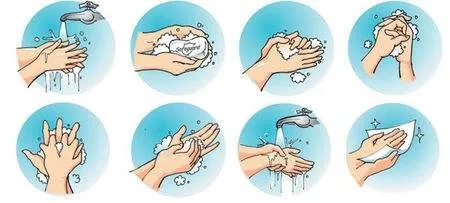 wash hands